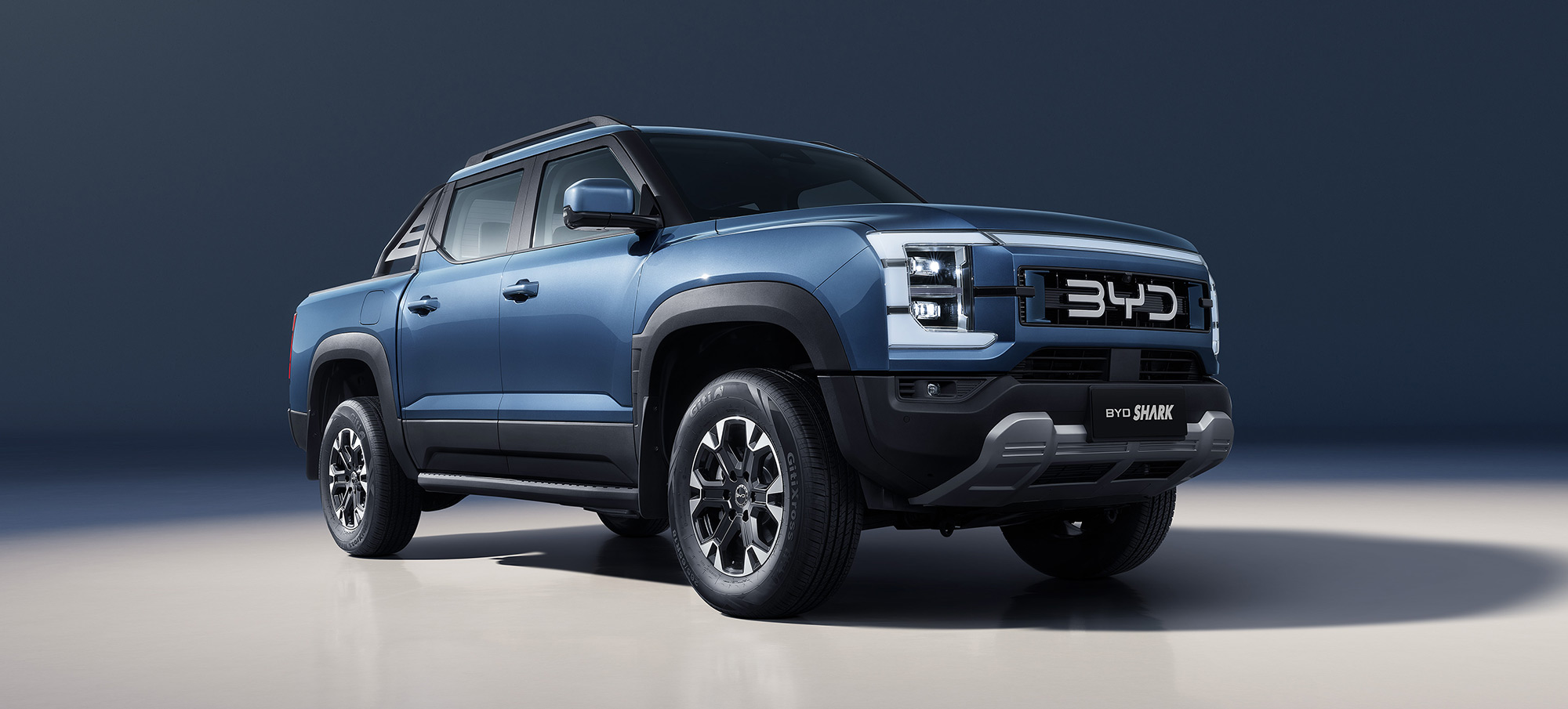 Banner Shark 6 905x July24